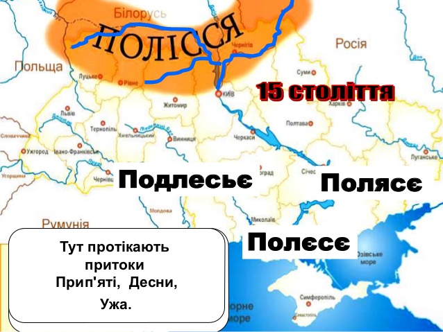  Що їдять на Поліссі.  