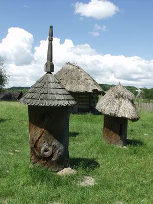 6. Вулики. 