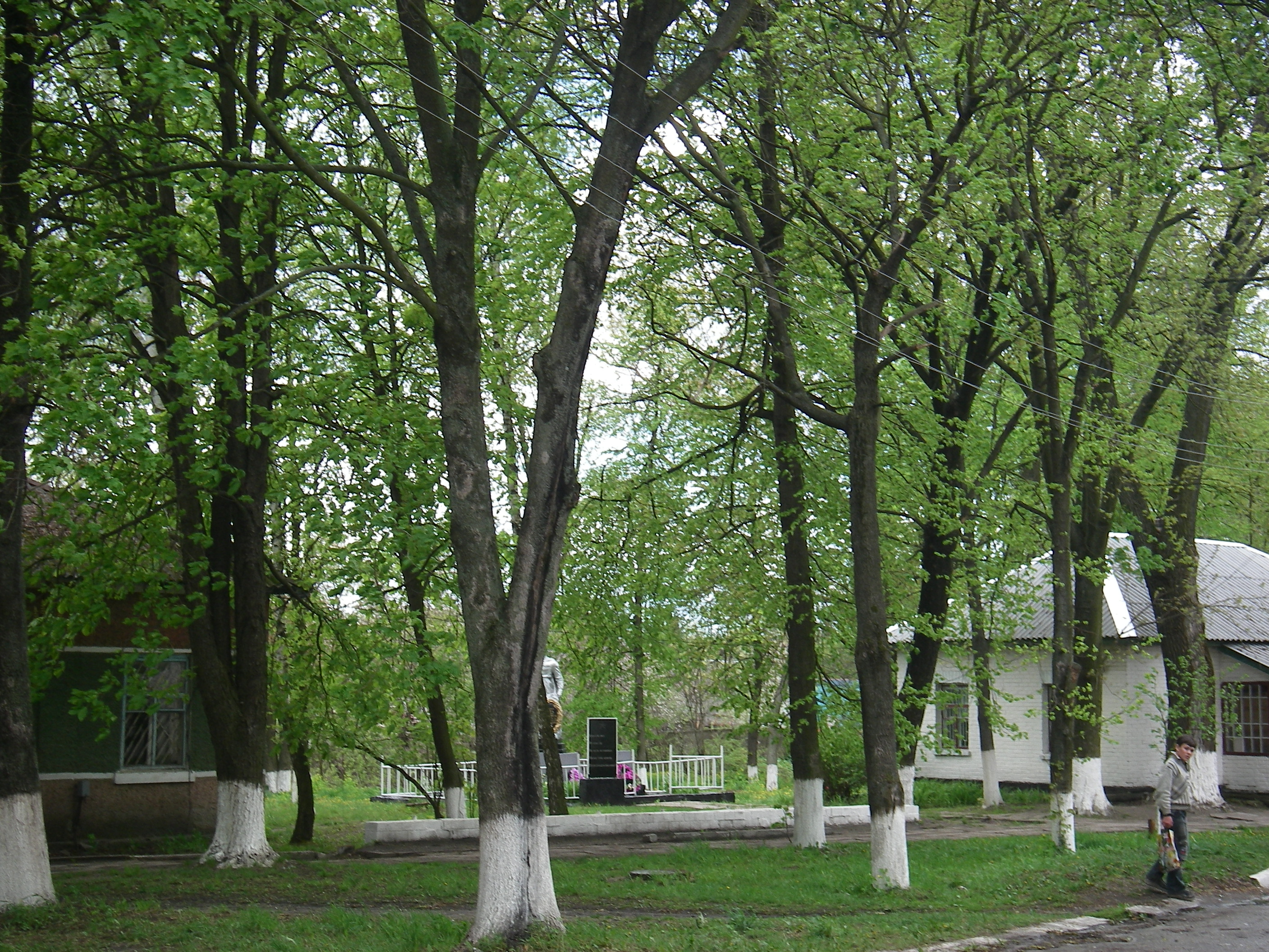  Фотогалереї села Катюжанка. 