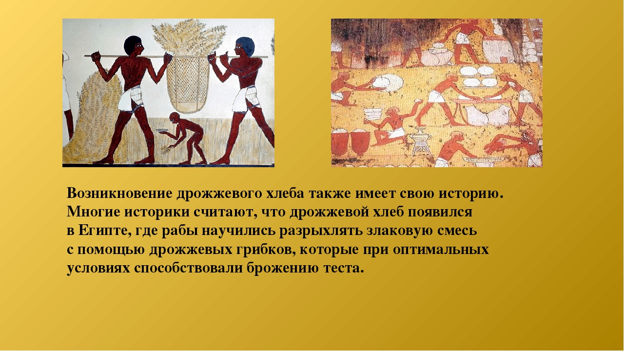  Краткая история хлеба разных стран мира 