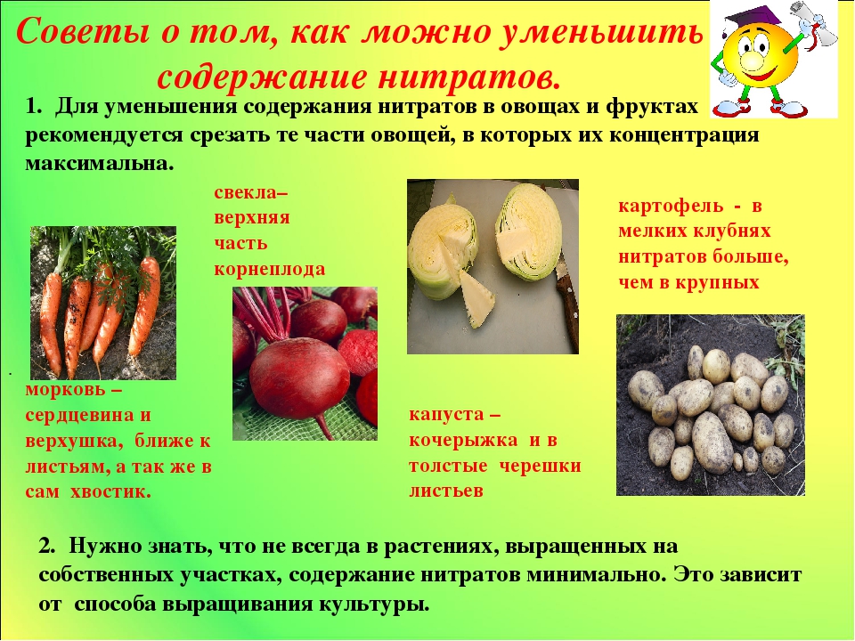  Нитраты в продуктах питания 