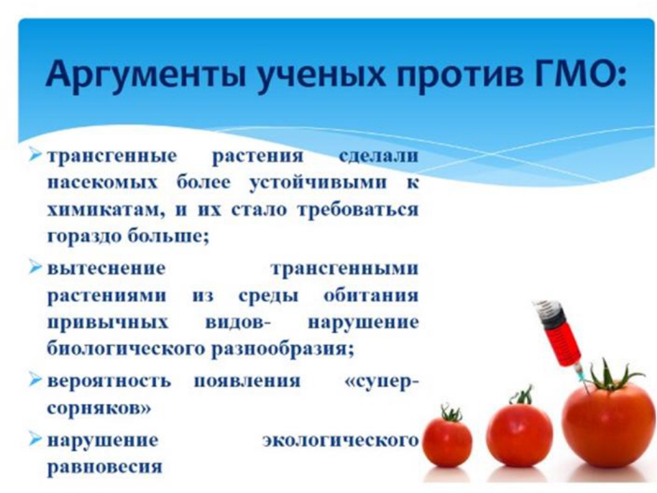  Что такое ГМО и генная инженерия 