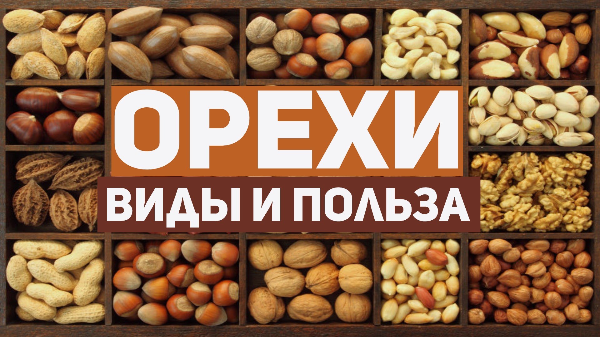  Что такое орехи 