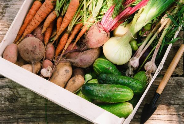  Немного о разных  способах   хранения продуктов ...  