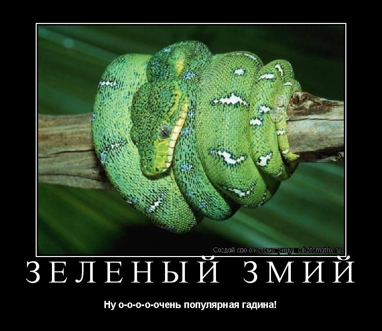  Как научиться пить умеренно 