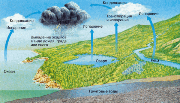  Немного о  круговороте воды в природе ...     