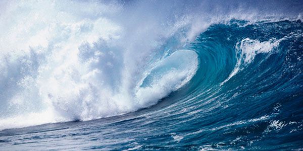  Много ли воды на земле?.    